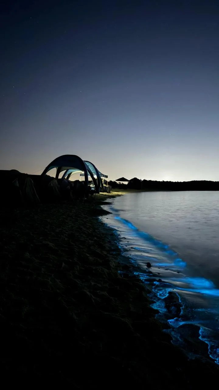 Overnight Stay at Daymaniyat Islands ( Camping )